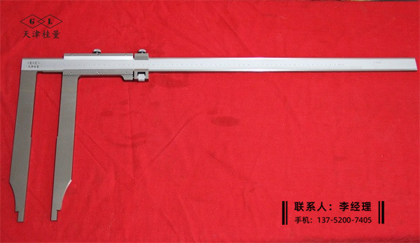 长爪卡尺0-600×300mm(尺身32mm)