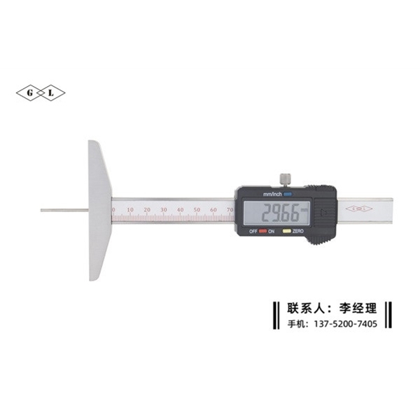 细杆数显深度卡尺0-100mm