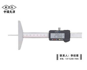 细杆数显深度卡尺0-100mm