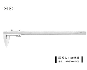 Ⅳ型游标卡尺0-500mm