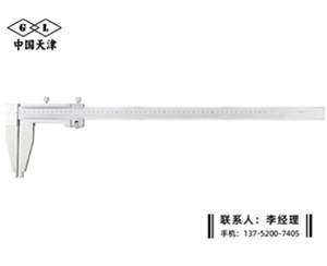防磁游标卡尺0-500mm