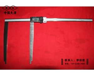 超长爪数显卡尺500×300mm