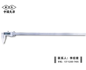 Ⅳ型数显卡尺0-1000mm