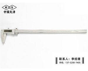 Ⅳ型数显卡尺0-600mm