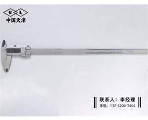 双刀头数显卡尺0-500mm